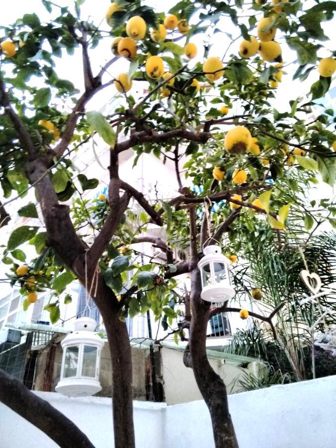 Willkommen In Einem Private Garden Бари Экстерьер фото