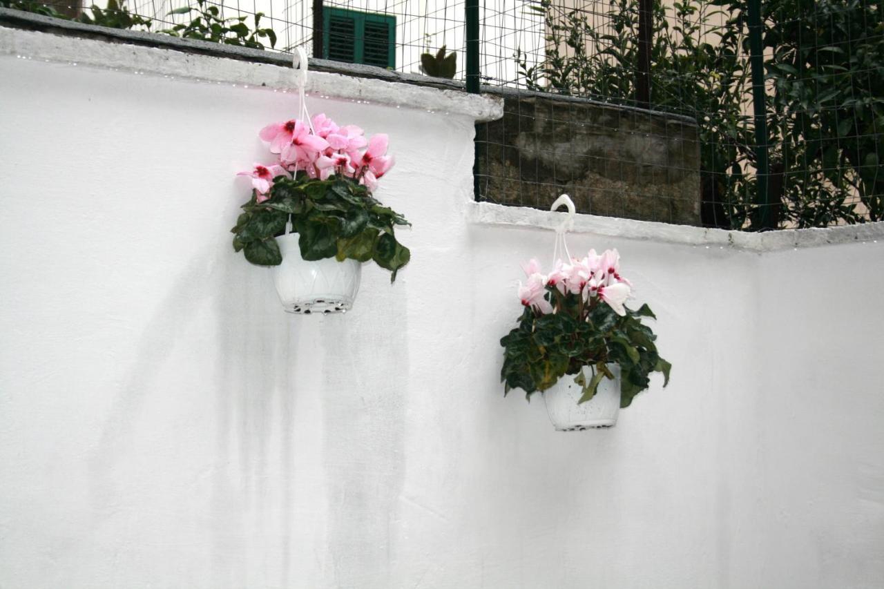 Willkommen In Einem Private Garden Бари Экстерьер фото