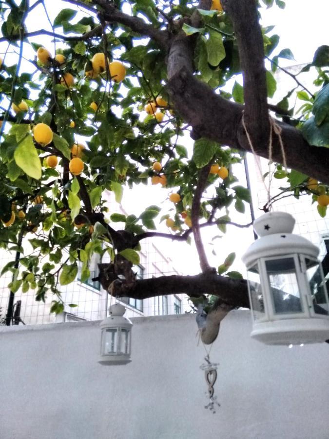 Willkommen In Einem Private Garden Бари Экстерьер фото