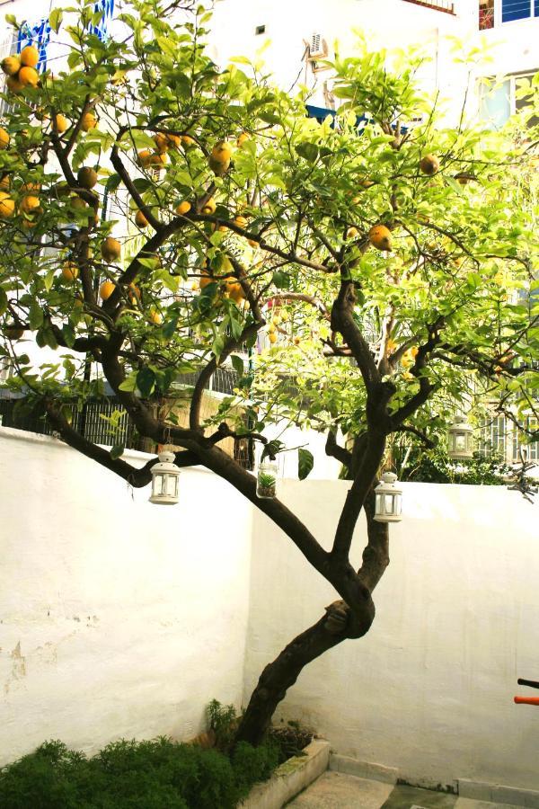 Willkommen In Einem Private Garden Бари Экстерьер фото